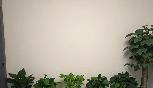 绿化维护中开荒保洁的使用与维护建议